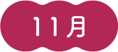 11月